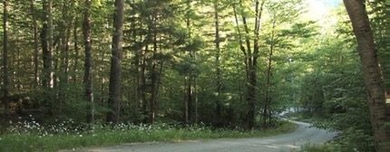 299163679 492523616207748 6563899325874041794 n